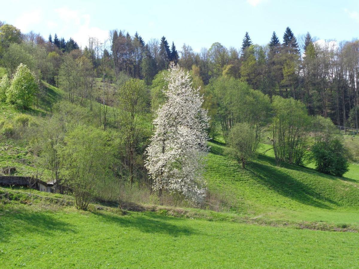 Apartement GYARMATY Sankt Johann in Tirol Bagian luar foto